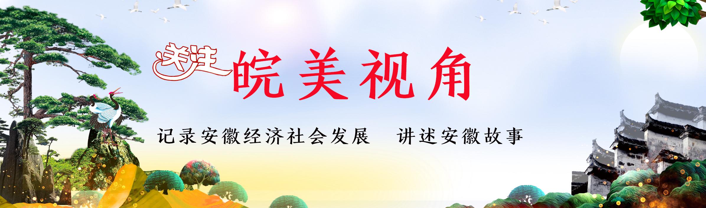 国家科学技术奖安徽,安徽信息学普及组一等奖