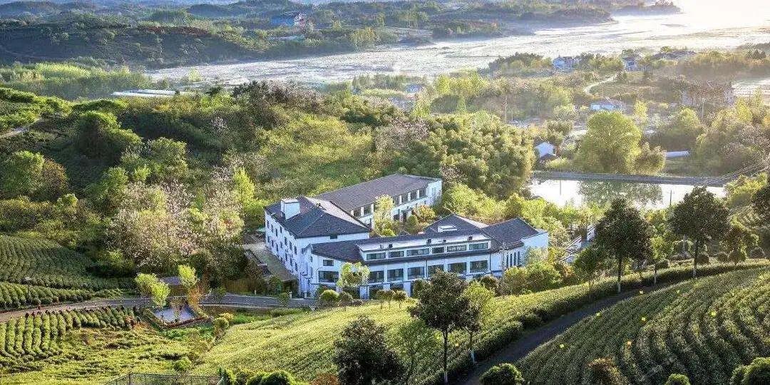 安吉竹海民宿推荐,竹海景观民宿安吉