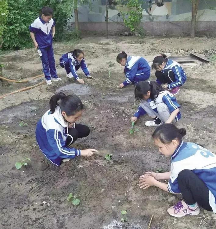 百年奋斗路启航新征程小学生,奋斗百年路启航新征程小学生视频