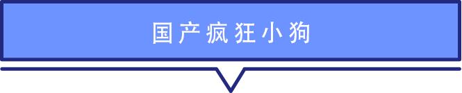 麦富迪牛肉双拼狗粮金毛泰迪20斤,双拼猫粮是膨化食品吗