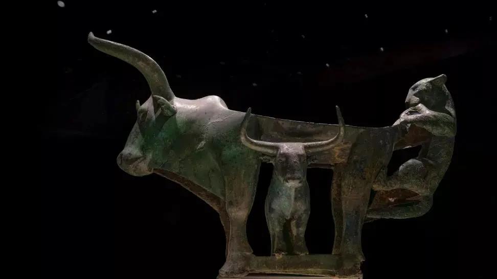 昆明动物博物馆免费开放时间,昆明博物馆和云南博物馆哪个好