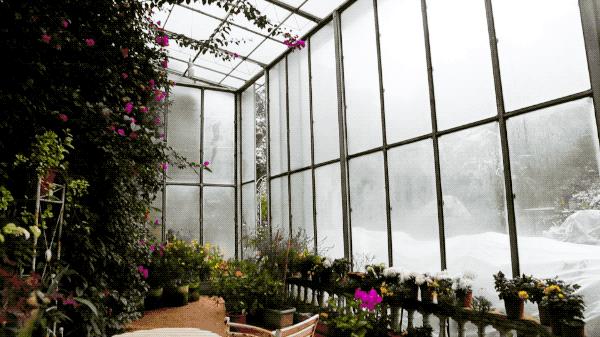 一个安徽爷爷，花1万块种出5000㎡私家花园，被评为中国最美