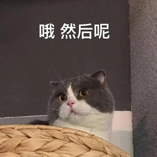 吃瓜沙雕表情包,征服买瓜表情包