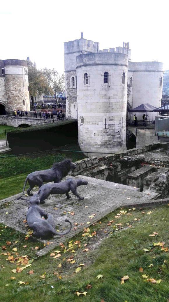 明日方舟阵营剧情,明日方舟暗流