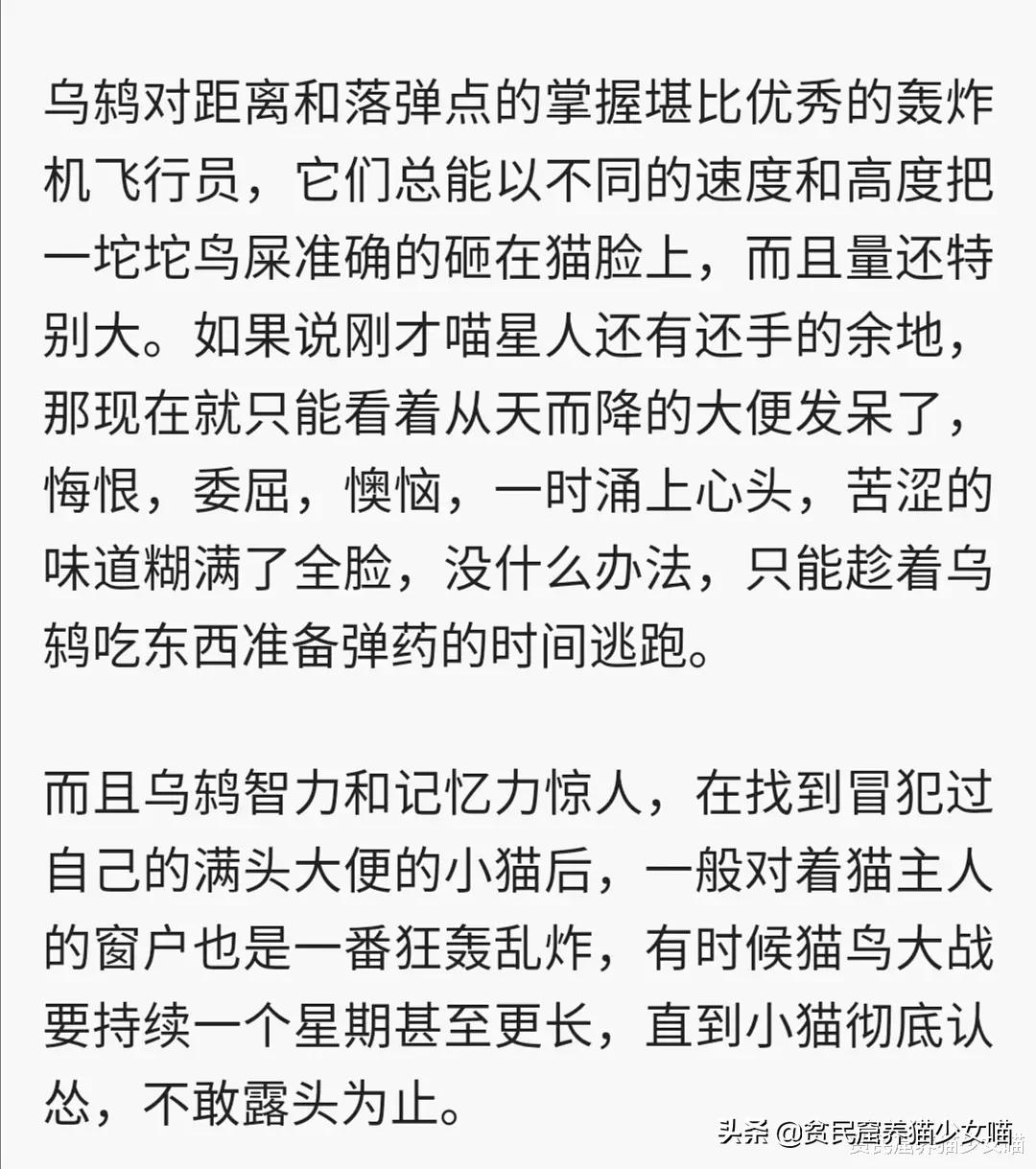 铲屎官对家养猫咪失望,铲屎官对猫咪的无语瞬间