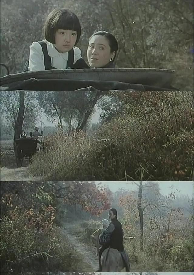 沈洁城南旧事张丰毅,张丰毅沈洁精彩片段