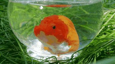 右眼皮跳右耳热吉凶,左右眼皮连续跳24小时吉凶预兆