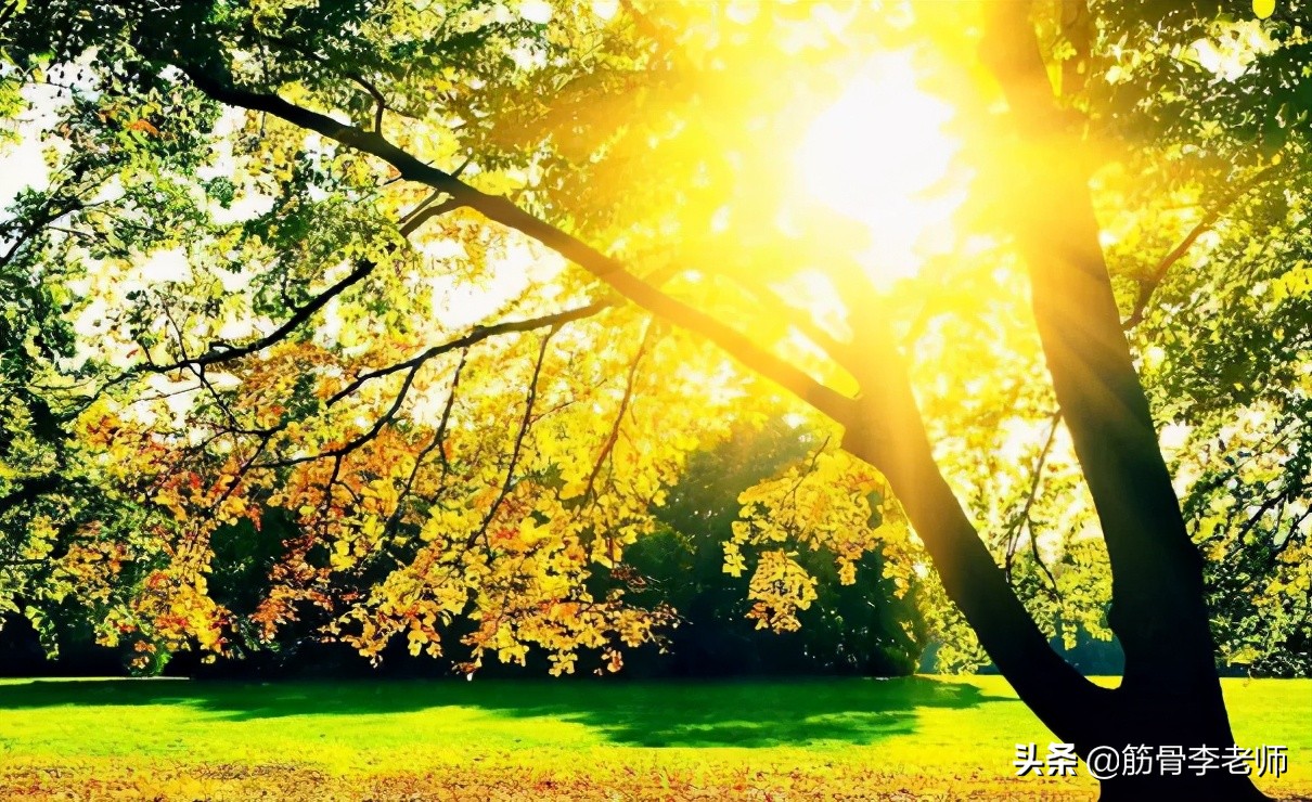 晒后背挑战,三伏天晒背胜人参