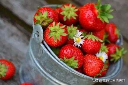 专家告诫不要相信的十大谣言,人民日报专家集体辟谣原文