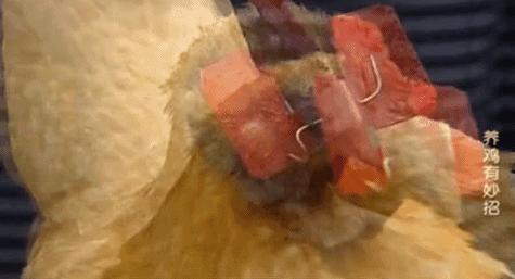 手搓长续航潜水艇,手搓潜水艇