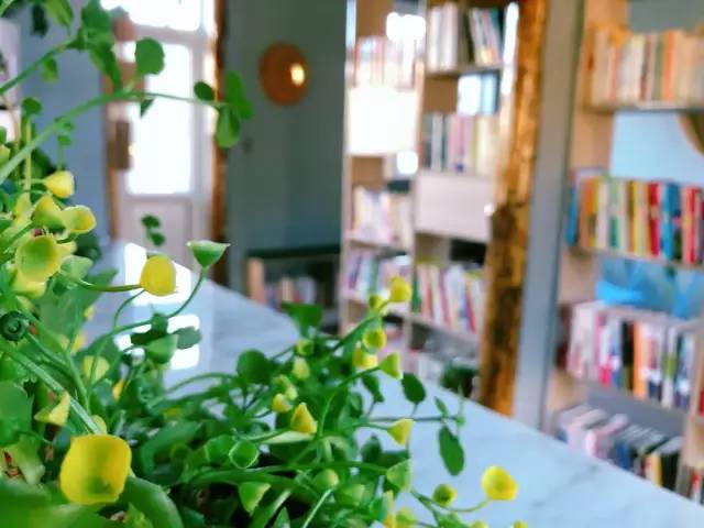 十里杏花谷里,藏着深秋的诗情画意