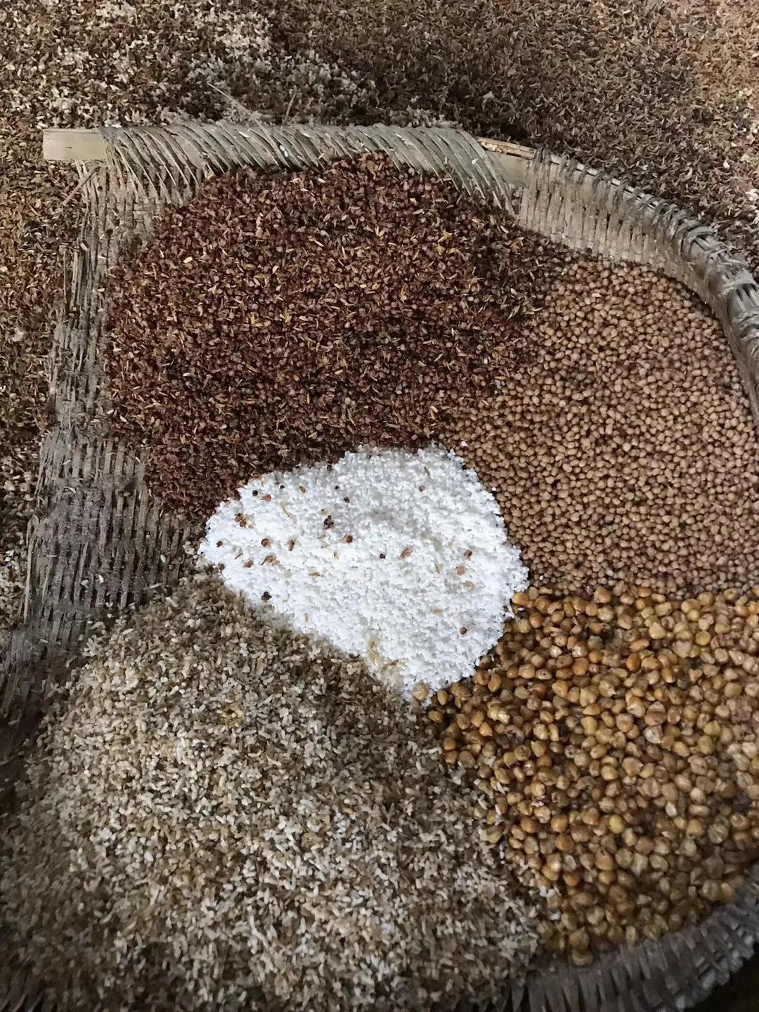 一篇文章告诉你葡萄酒应该怎么喝,酿酒技术好掌握吗