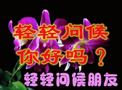 520情人节祝福送上真的太美了,最新的520情人节