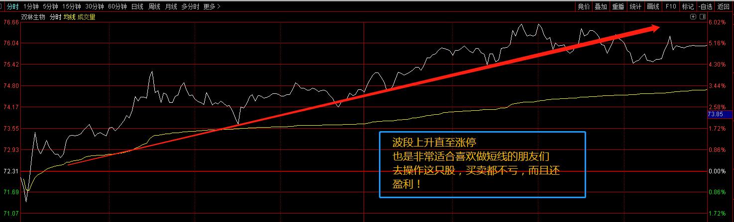 赵老哥vip选股器,游资赵老哥战法