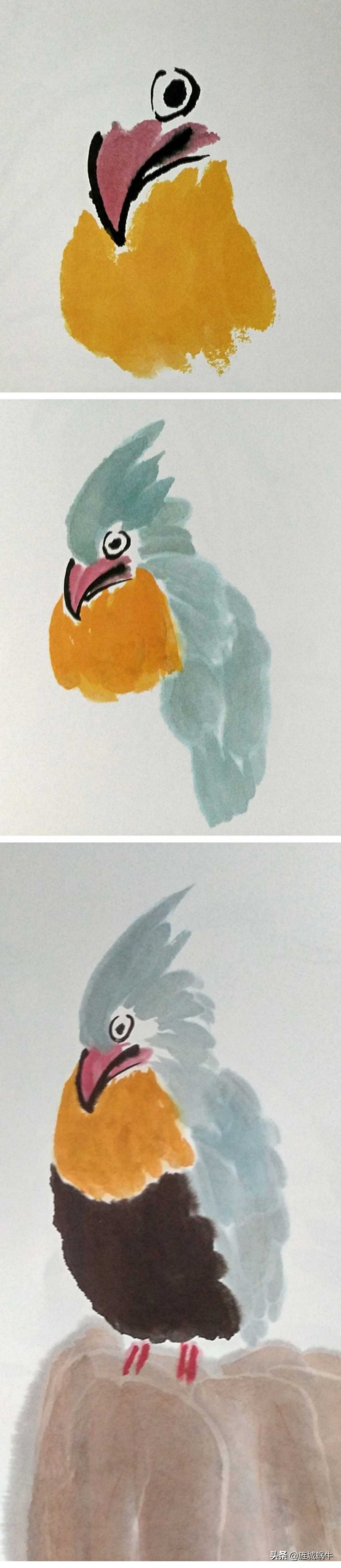 一学就会的禽鸟画法书,禽鸟的画法大全图解