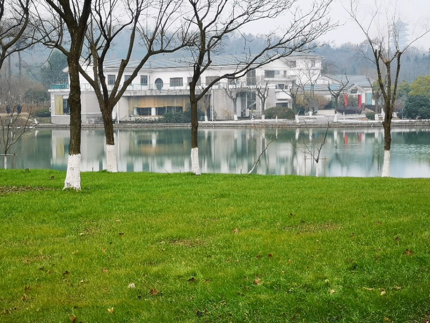 宜兴竹海游和龙背山森林公园游记