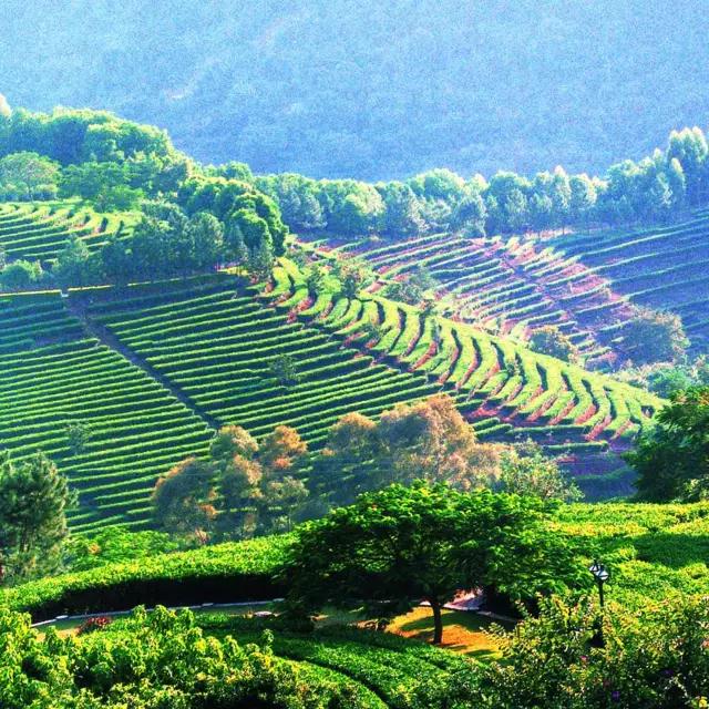 在梅州为什么说兴宁人比较聪明,梅州人是不是很精明