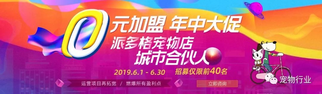 不太正经的宠物店名称有哪些,高端宠物店适合开在什么地方