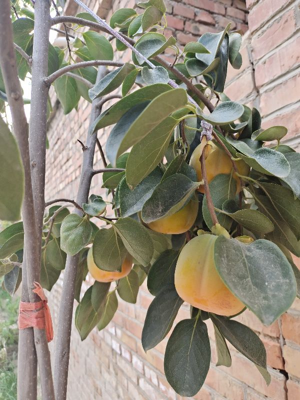 读易经感悟300字,阅读易经基础入门