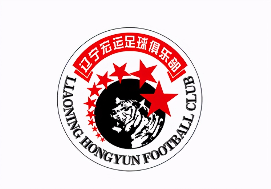 足球小将大空翼带领南葛三连冠,足球小将南葛队有谁