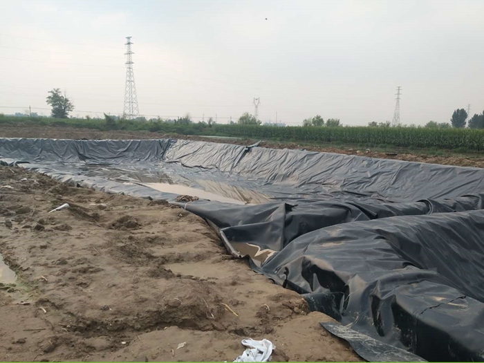 鱼塘工程防渗膜哪些厂家质量很好,hdpe防渗膜与PE防渗膜