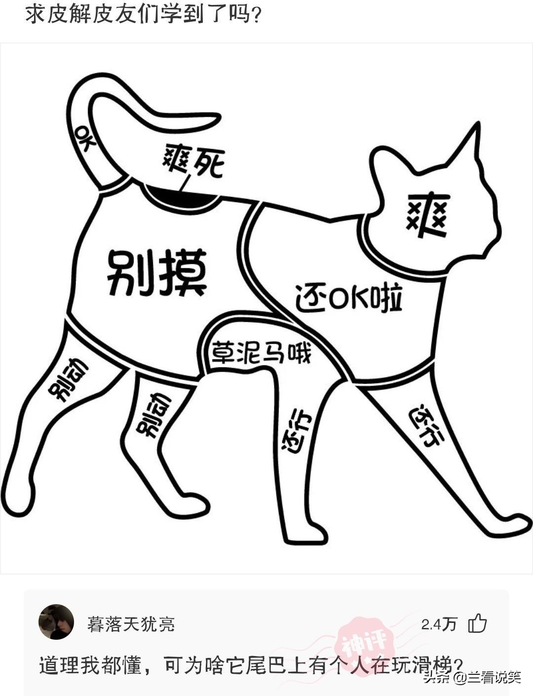 情侣接吻不觉得恶心吗神回复,让人猝不及防的神回复情侣