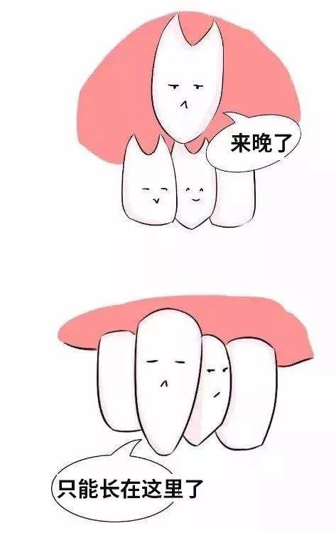 大连齿医生口腔正畸,大连齿医生口腔可靠吗