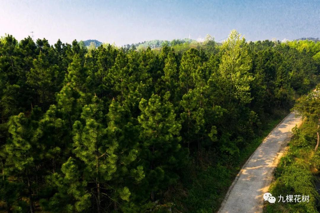 湖北襄阳谷城庙滩喻家湾,谷城县庙滩镇喻家湾村书记