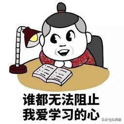 政府雇员和事业单位雇员有区别吗,政府雇员和公务员区别