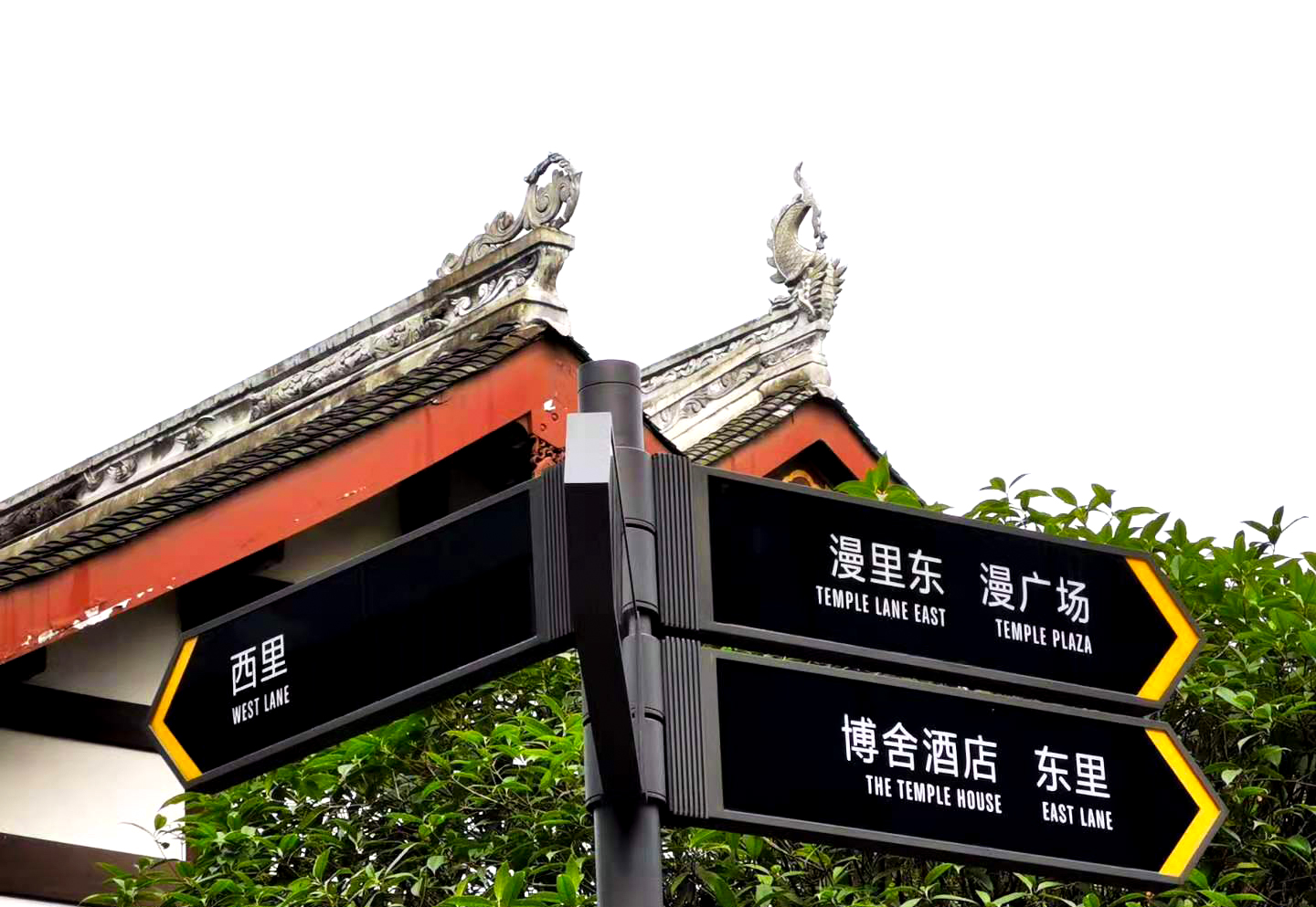 初秋的成都是拍不完的照片，用它清理手机释放超大内存