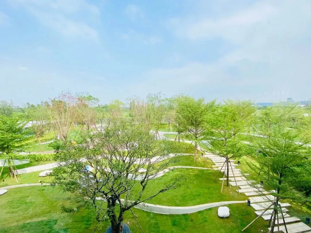 佛山云禧体育中心,云禧体育中心佛山市南海区