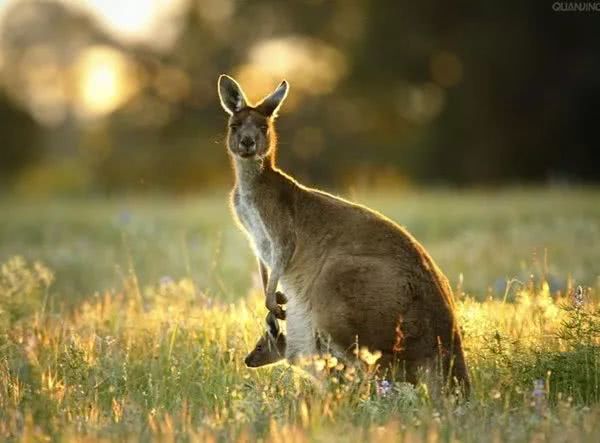 企业质量管理小故事,全面质量管理小故事