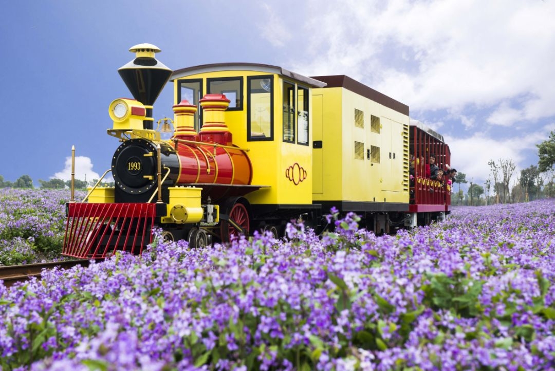 苏州园区的巧克力工厂叫什么,苏州巧克力小镇