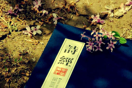 宝鸡话蛮的是啥意思,正宗宝鸡话什么意思