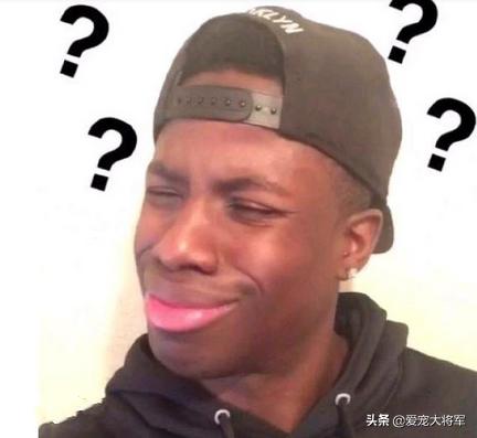 网上买狗怎么知道是不是狗贩子,买狗常见骗术大揭秘