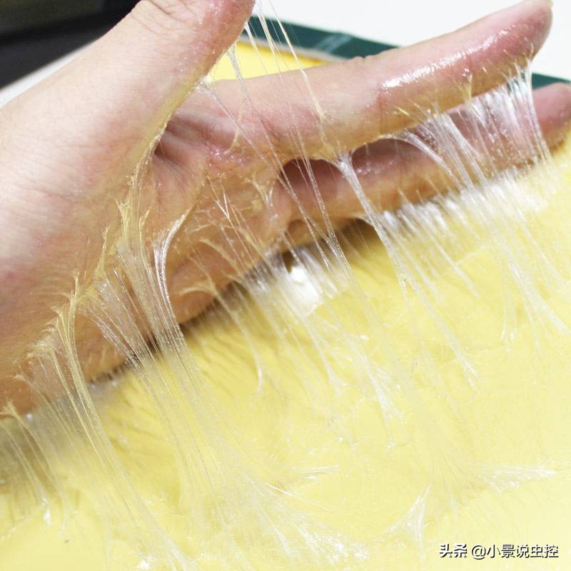 衣服上粘上粘鼠板胶去除妙招,粘鼠板粘在衣服上怎样去除