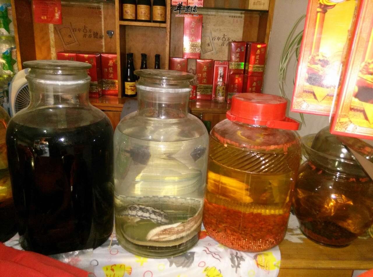 补肾药酒要会泡才是药酒,补肾壮阳的药酒一次喝多少好