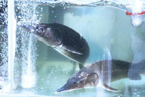 长沙好吃的冷吃美食,长沙冬日必吃