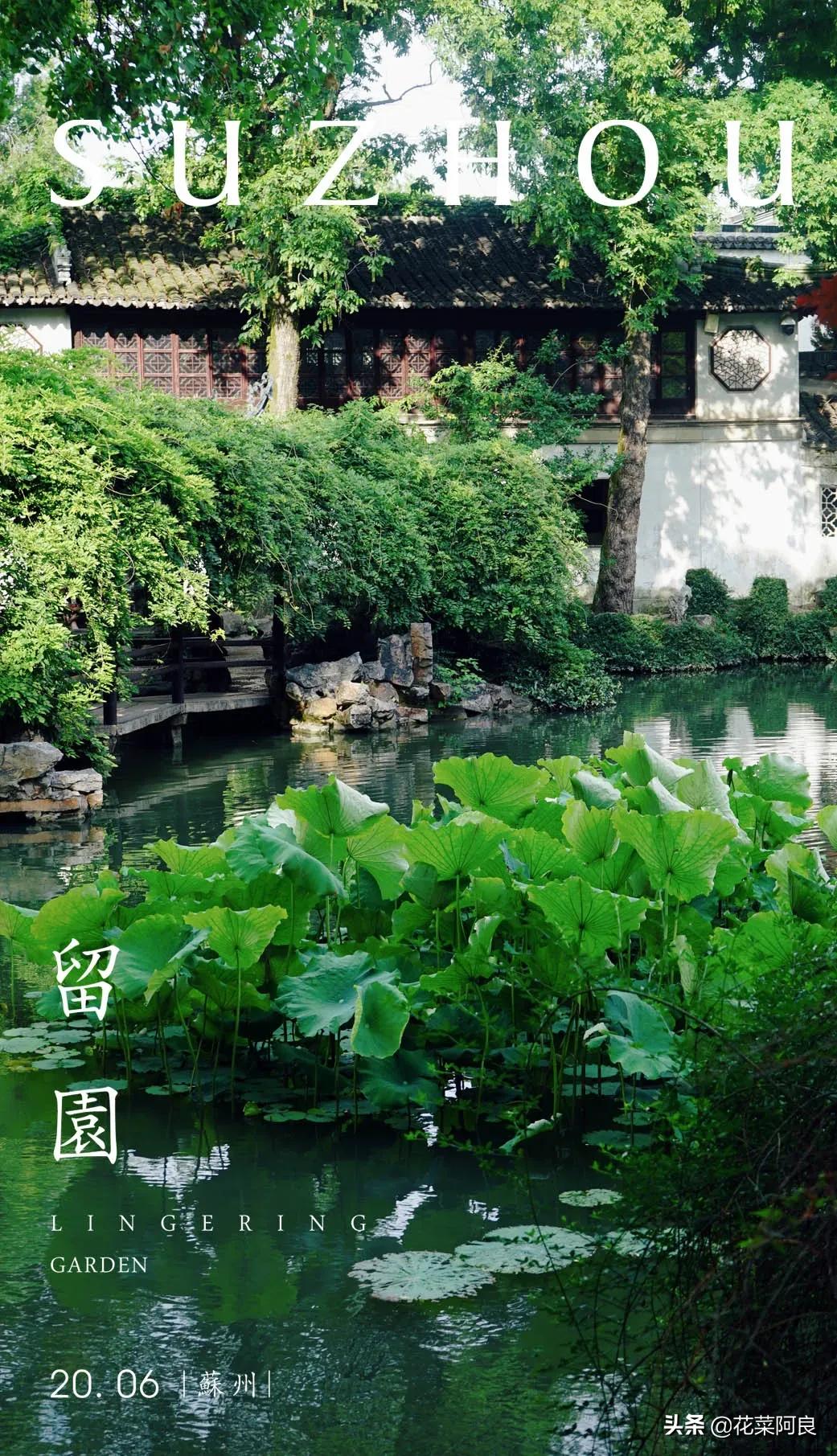 留园拙政园哪个景色好,留园和拙政园