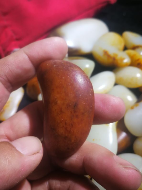 和田玉农盼望主播去村里直播帮忙出籽。