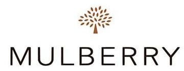 奢侈品品牌标志大全红和蓝,国内奢侈品品牌标志大全