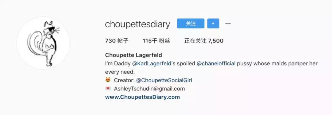 大熊猫一年可以赚钱几个亿,一只猫一年挣3000万