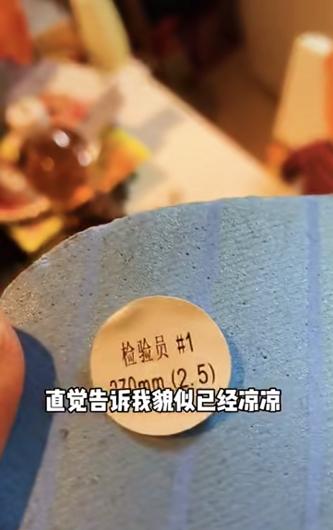 在岛国网上冲浪时候,居然买到了...