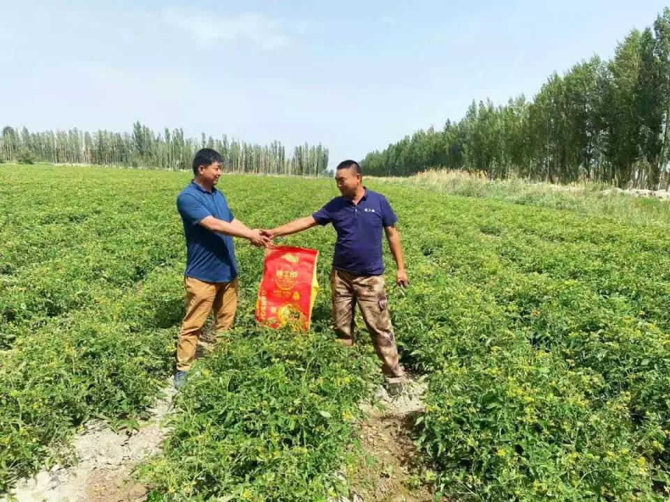嘉施利化肥产品展示,嘉施利硝酸铵钙肥料