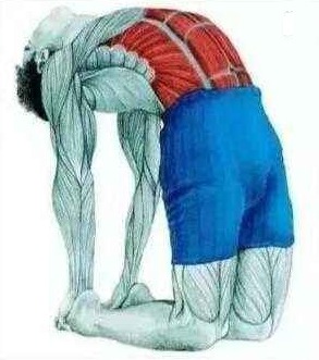 经常低头看手机的颈椎怎么矫正,抬头看手机对颈椎有好处吗