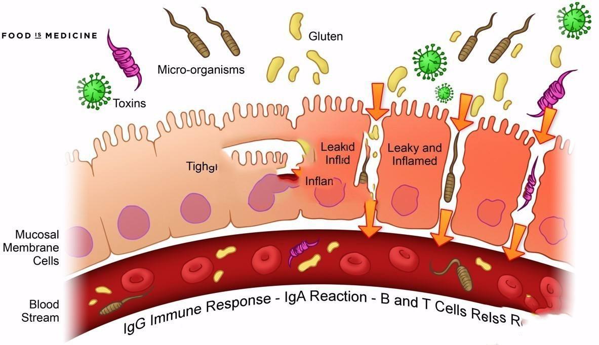 清除身体垃圾最好的办法,身体的垃圾包括什么