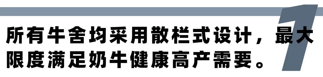 蒙牛质量,蒙牛品质回顾