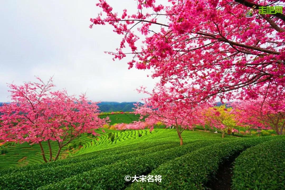 过年了爱车也要干干净净,过年了你的爱车洗干净了吗