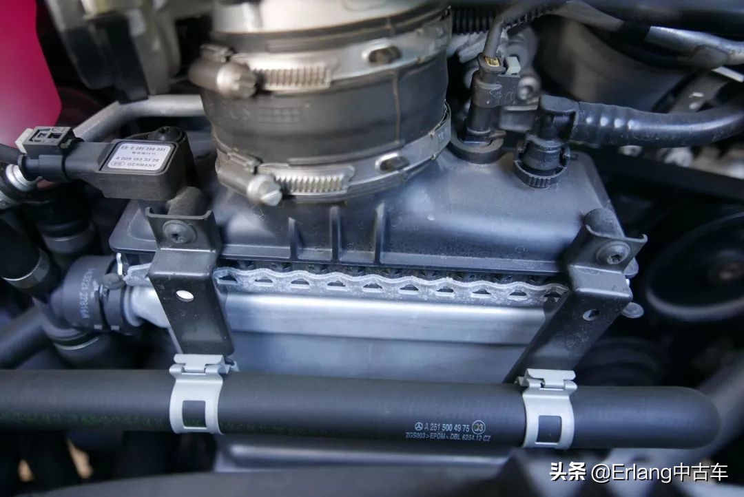 消失的陆地中文版,消失了的陆地