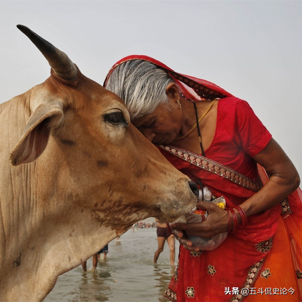 印度的胡里节是怎么过的,印度胡里节简介